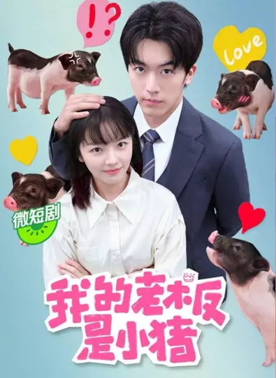 My Piggy Boss (2024) หัวหน้าฉันเป็นหมูน้อย ซับไทย (จบ)