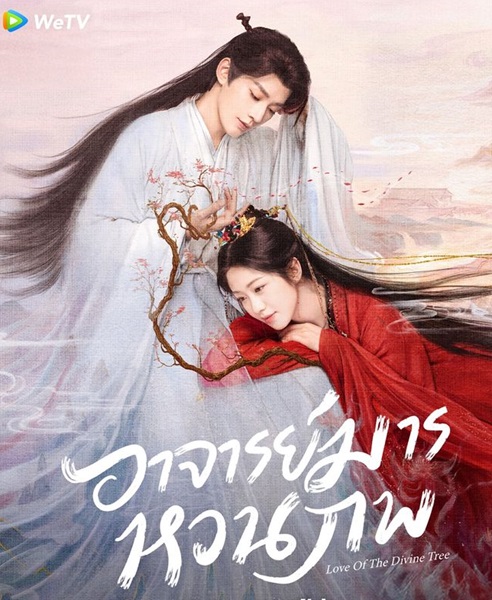 Love of the Divine Tree (2025) อาจารย์มารหวนภพ พากย์ไทย Ep.1-40(จบ)